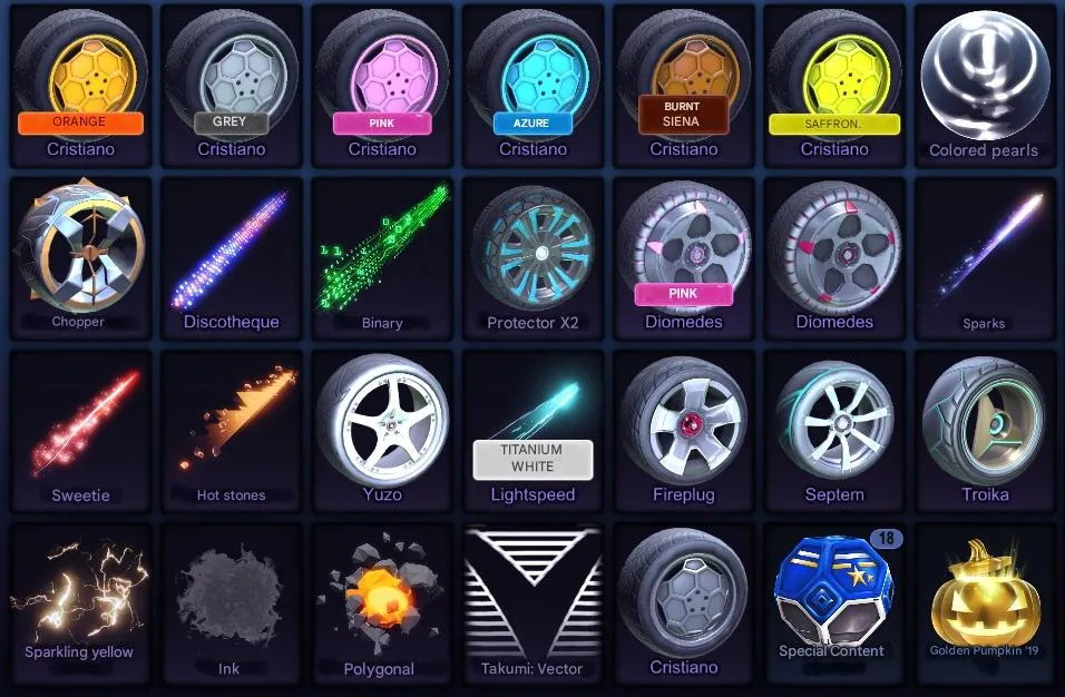 RL1017 GT3 RS Porsche, Dominus TW, 3x Fennec, Black Market, Cristiano, Titanium White, Interstellar, Lightspeed, Firegod + Full Inventory Level 270 